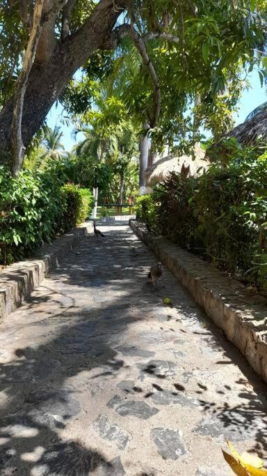 Sol Y Mar. Delfines Apartment Ixtapa  Ngoại thất bức ảnh